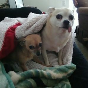 Bundle and save! We love offers!